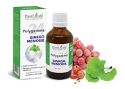 Polygemma Nr. 24 Ginkgo Memorie 50ml PlantExtrakt