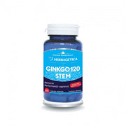 Ginkgo 120 stem 60cps Herbagetica