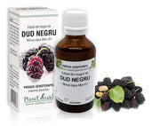 Extract din muguri de dud negru 50ml PlantExtrakt