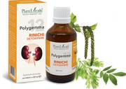 Polygemma nr. 12 - Rinichi 50ml PlantExtrakt