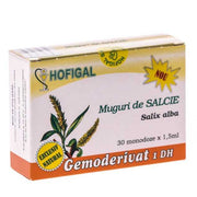 Muguri de salcie 30 monodoze Hofigal