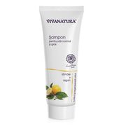 Sampon natural pentru par gras cu lamaie si argan 250ml VivaNatura
