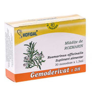 mladite_rosmarin_hofigal_dr_green