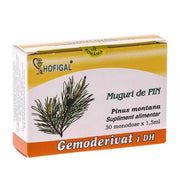 muguri-de-pin-beneficii-sistemului osteo-articular-dr-green