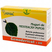 muguri de mesteacan, tonifiant, imunitate