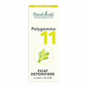 Polygemma nr.11 - Ficat 50ml Plantmed
