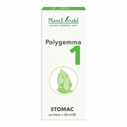 Polygemma nr.1 - Stomac 50ml Plantmed