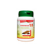 Scortisoara 70cps Favisan