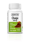 Chaga 500 mg 30cps ZENYTH