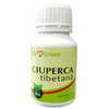 Ciuperca tibetana 120 capsule Dr. Green