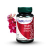Telina Seminte extract 60cps DVR Pharm