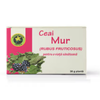 Ceai din frunze de Mur 30g Hypericum