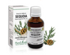 Extract din mladite de sequoia 50ml PlantExtrakt