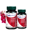 Pachet seminte de Telina 30+60 cps DVR