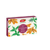 Fitodolor Acut, L97, 20 capsule moi - Dr Green