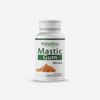 Mastic Gum 60cps Naturline