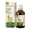 Tinctura de brusture 50ml Dacia Plant