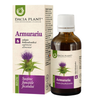 Tinctura Armurariu 50ml Dacia Planta