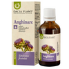 Tinctura anghinare 50ml Dacia Plant