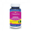 Chaga 500mg 60cps Herbagetica