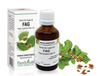 Extract din muguri de Fag 50ml PlantExtrakt