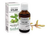 Extract din muguri de stejar 50ml PlantExtrakt
