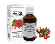 Extract din mladite de paducel 50ml PlantExtrakt