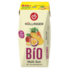 Nectar multi-fruct cu morcov fara zahar adaugat Bio 200ml Hollinger