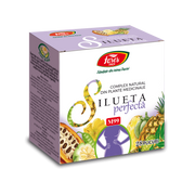 Silueta perfecta pulbere 28dz Fares