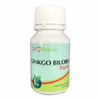 ginkgo_giloba_forte_ Dr. Green