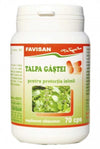 Talpa gastei 70 cps Favisan