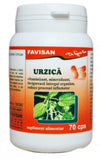 Urzica 70 cps Favisan-Dr Green