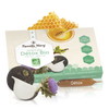 Fiole Detox Bio_Famille Mary_Dr Green