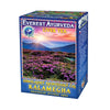 Ceai Kalamegha Liver Tea 100 g Everest Ayurveda