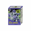 Ceai scai vanat 100g