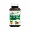 Cordyceps Extract Forte 60 cps NaturLine antitumoral și imunostimulator