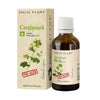 Tinctura cretisoara fara alcool 50ml Dacia Plant
