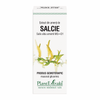 Extract din amenti de salcie 50ml Plantmed