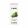 Extract din mladite de Cedru 50ml Plantmed
