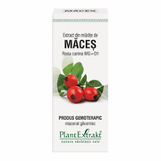 Extract din mladite de maces 50ml PlantExtrakt