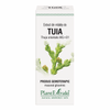 Extract din mladite de tuia 50ml