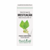 Extract din muguri de mesteacan 50ml Plantmed