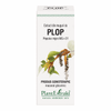 Extract din muguri de plop 50ml Plantmed