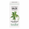 Extract din muguri de salcie 50ml Plantmed