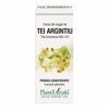 Extract din muguri de tei argintiu 50ml PlantExtrakt