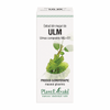 Extract din muguri de ulm 50ml