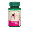 antitumoral, echinacea