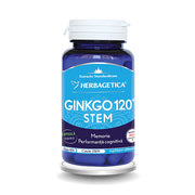 Ginkgo 120 stem 60cps Herbagetica_Dr Green