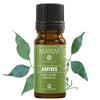 Ulei Esential de Santal Amyris 10ml Mayam Dr. Green