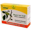 muguri de ulm, Hofigal, detoxifiant